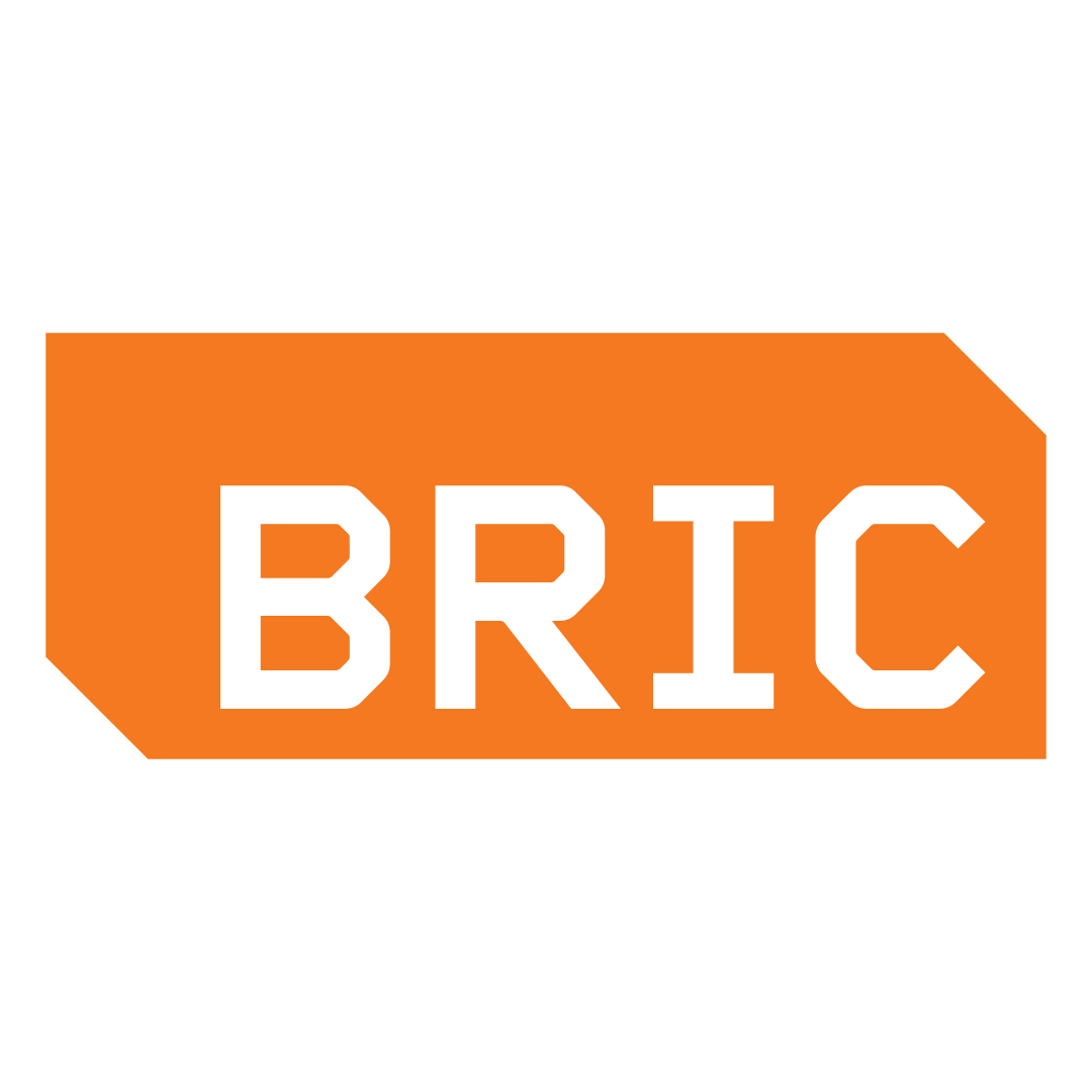BRIC Arts | Media | BKLYN - BRIC - organization logo