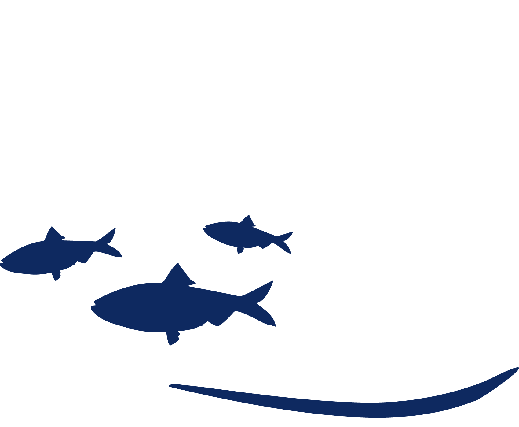 Exeter TV - New Hampshire  - Exeter TV Video on Demand - organization logo
