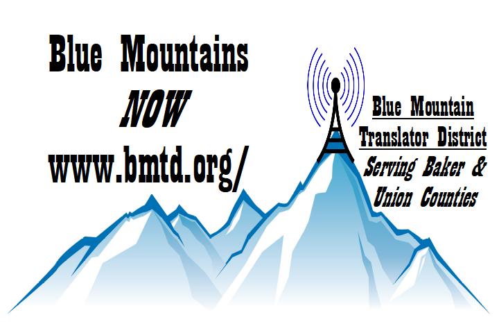 Blue Mountains Now - Blue Mountains Now - organization logo