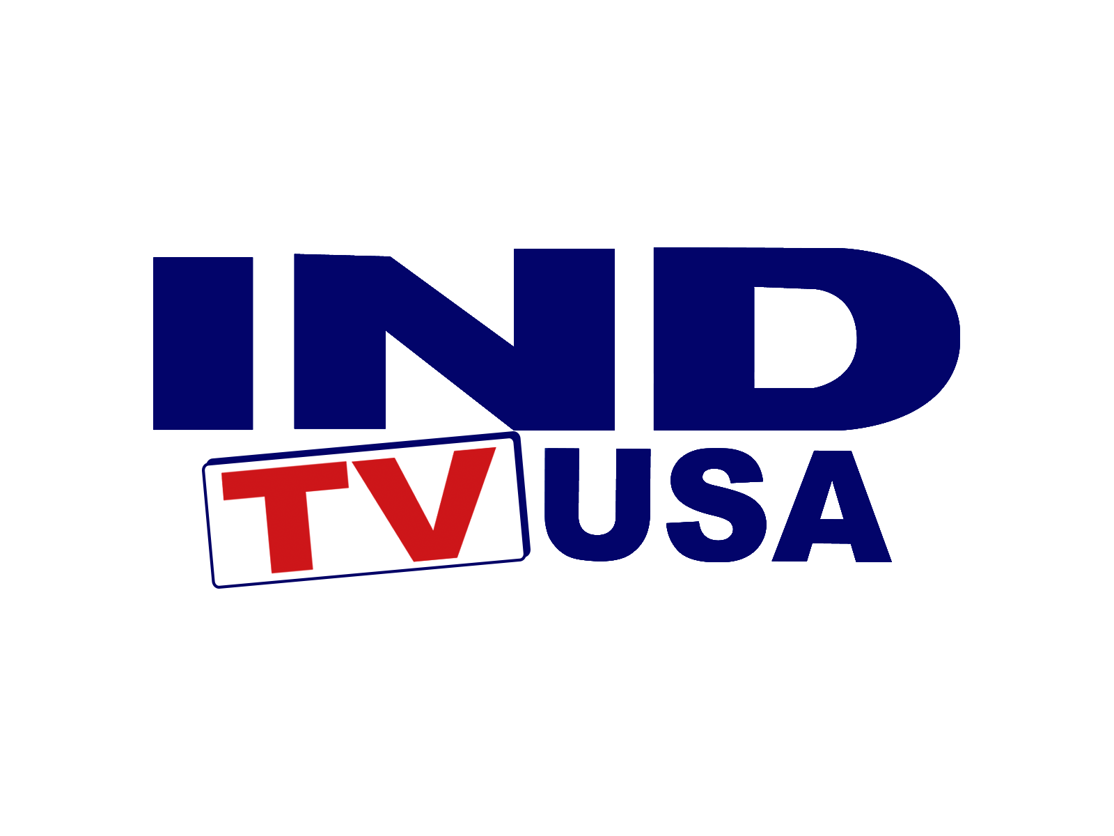 INDTVUSA - INDTVUSA VOD Player - organization logo